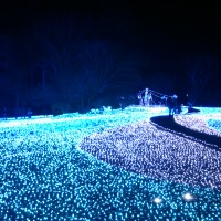 古都・奈良が青く輝く一週間【2020年　しあわせ回廊なら瑠璃絵】