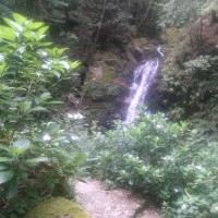 【鶯の滝】
