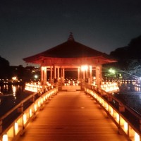 なら燈花会2025