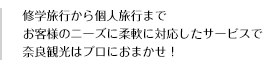 修学旅行から個人旅行まで奈良観光はプロにおまかせ！